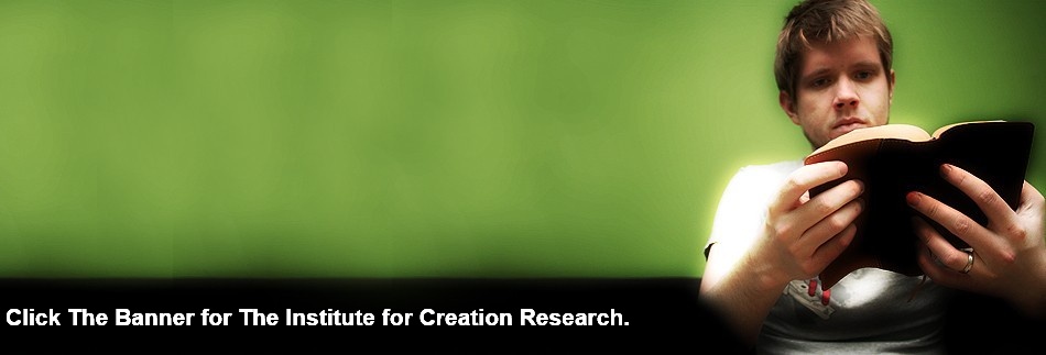 Church Bible Study Website Banner